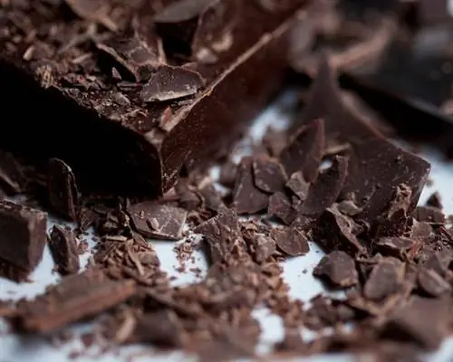 Шоколад братьев маст