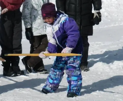 снежная змея