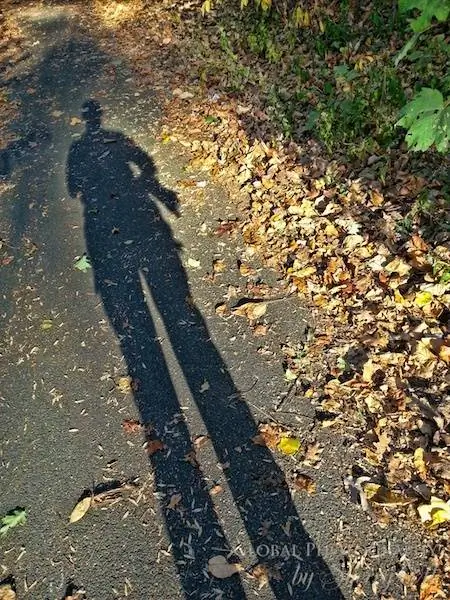 длинная тень длинная тень