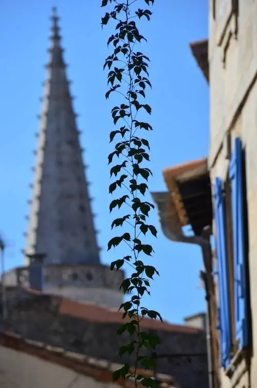 Южная Франция: Потеряться в Арле