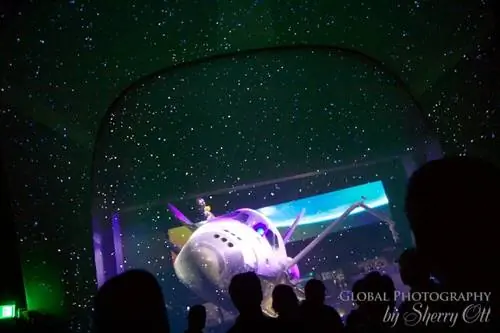 Фотографии выставки Атлантиды