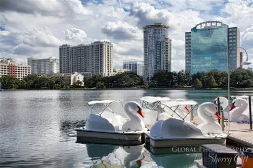 озеро эола лебеди