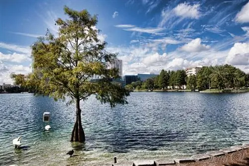 5 Adult & Вещи, не относящиеся к Диснею, чтобы исследовать в Орландо, Флорида