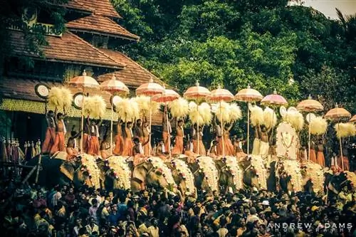Фестиваль Триссур Пурам - фотограф-путешественник Эндрю Адамс