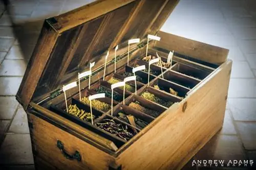 Специи, найденные в Керале - фотограф-путешественник Эндрю Адамс