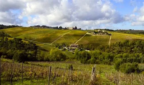 тосканская сельская местность