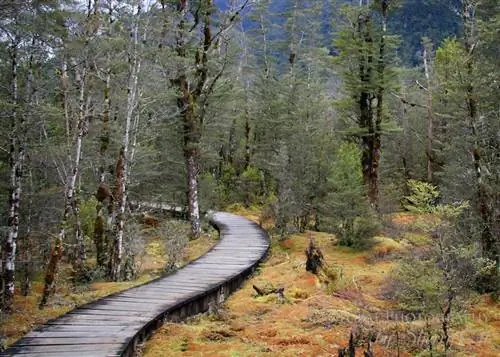 Милфорд Трек Новая Зеландия