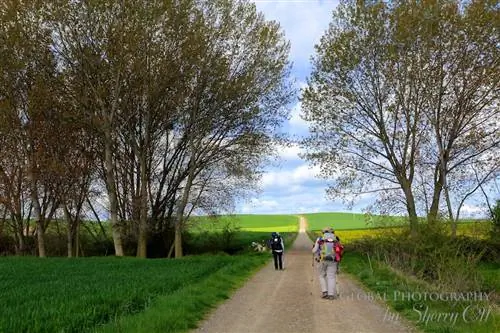 Камино де Сантьяго фото