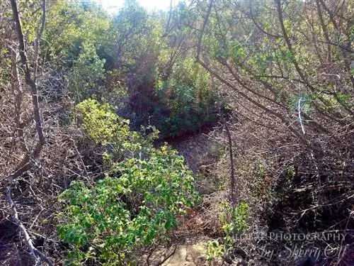 проблемы с ликийской тропой проблемы с ликийской тропой
