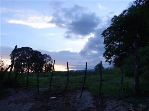 Виноградники и фермы в Аргентине