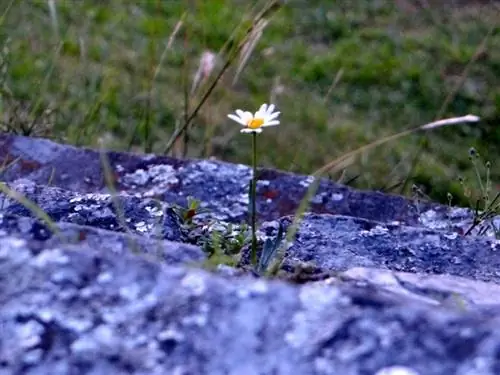 Семейные ценности в сельской местности Аргентины