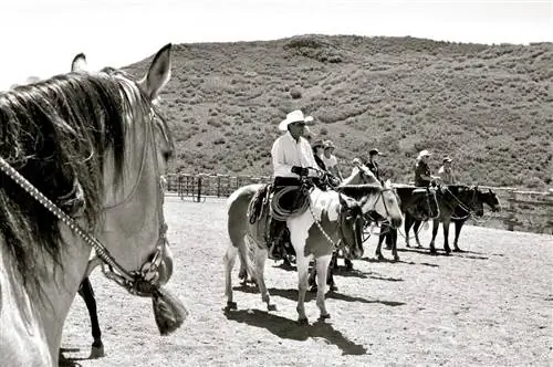 Станьте ковбоем на день на ранчо Blue Sky Ranch, Юта