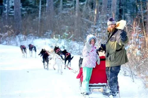 Поездка на собачьих упряжках для гурманов в пограничных водах Миннесоты