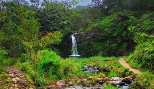 Водопад Мауи, Гавайи. Фото предоставлено Ladimax Fitness.