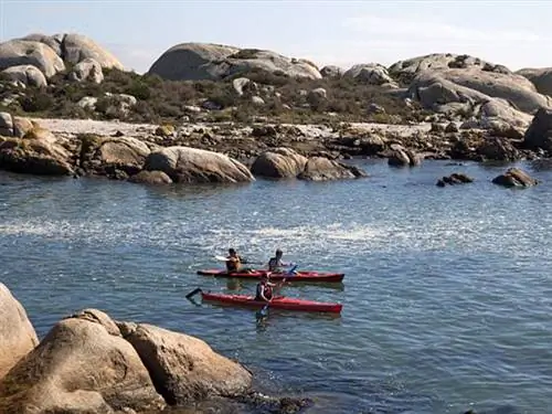 Каяк, чтобы увидеть морских пингвинов в Южной Африке. Фото предоставлено агентством «Африканские приключения».