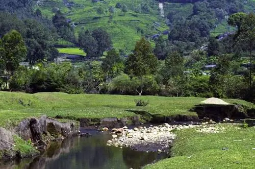 Безмятежная долина Кералы в Индии