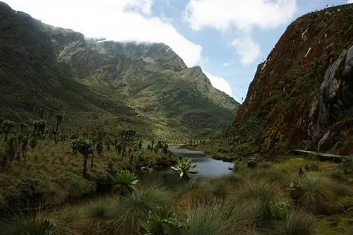 Изменение климата в горах Рувензори в Уганде
