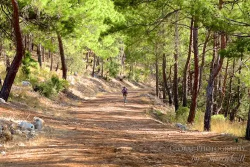 Полная безмятежность в походе по Ликийскому пути