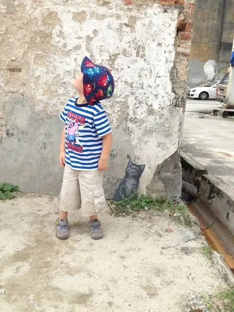 кошка стрит-арт