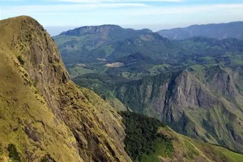 Виды из Месапулимала