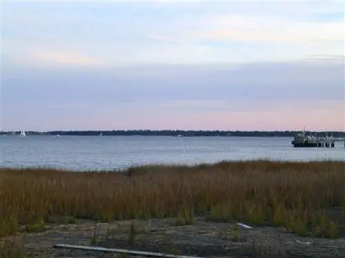 Чарлстон-Кост, Южная Каролина.