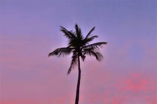 Изучение островов Раджа Ампат в Индонезии