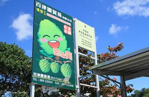 Заварные яблоки на Тайване