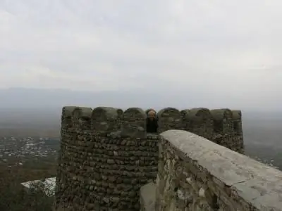 стены Джонни Блэра Сигнаги