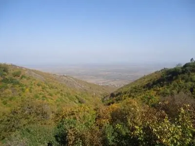 Сигнаги, Грузия: печально известный город любви