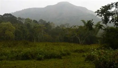 Периярский тигровый заповедник