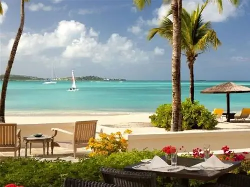 Джамби Бэй Роузвуд