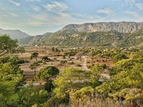 чирали индейка