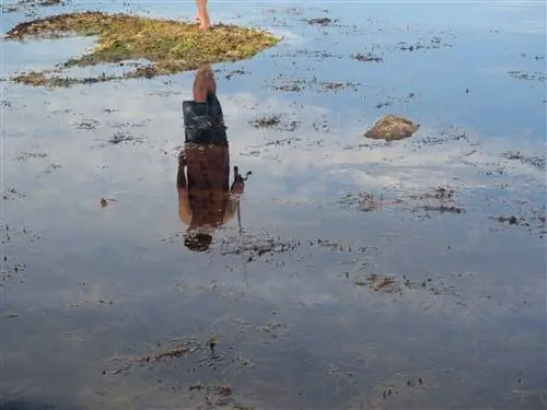 Рыбалка на острове Бруни, Тасмания