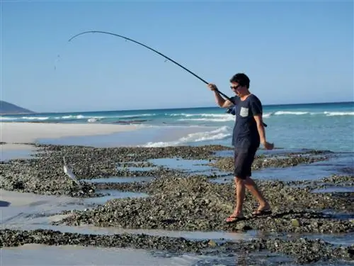 Рыбалка в Тасмании