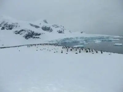лучшие антарктические острова