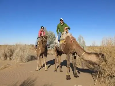 катание на верблюдах в пустыне