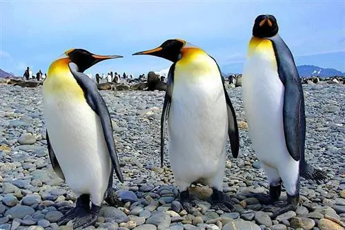 10 советов по фотографии от профессионала