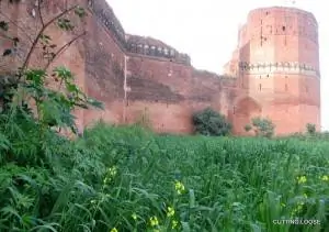 Форт Баджвара, Хошиарпур