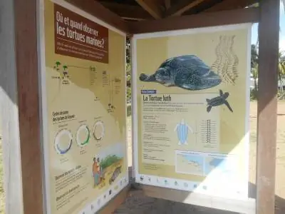 Информационные щиты о черепахах в отеле Novotel Beach, Кайенна, Французская Гвиана.