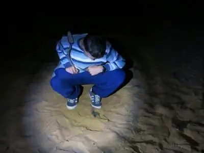 На пляже с черепахой у ног.