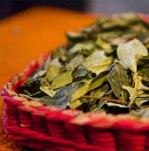 Кока уходит в поход в Перу