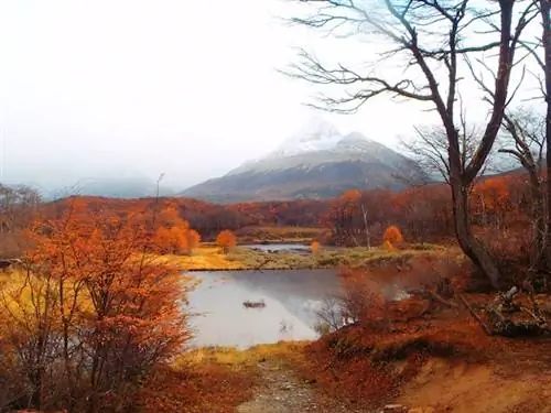 Валье-де-Лобос