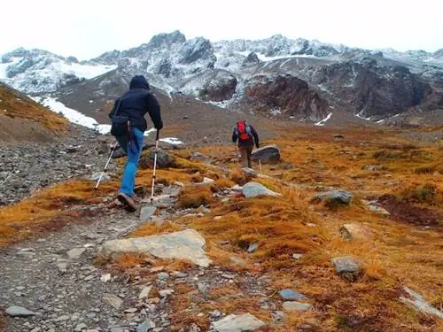 боевой ледник