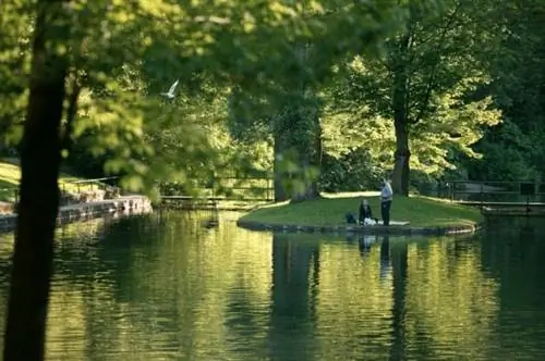 Ниагарский водопад, водопады, Канада, чудо света, главная туристическая достопримечательность, пикник