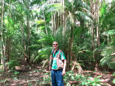 Прибытие в джунгли на плантацию Конкордия.