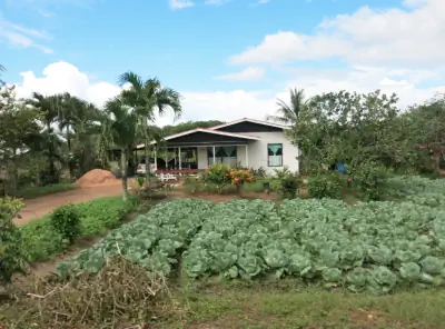 Дом по дороге в Мариенбург.