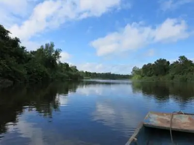Тропа сахарного тростника в Суринаме