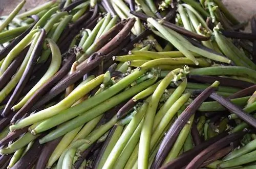 6 достопримечательностей Французской Полинезии