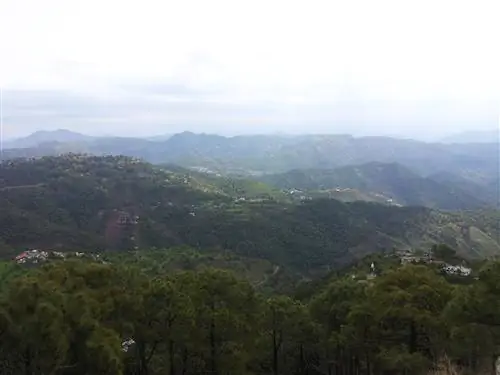 случайная картинка 1