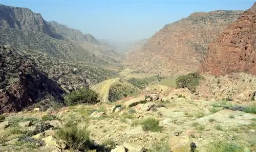 Биосферный заповедник Дана